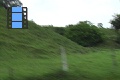 Scene_28_Driving through flooded meadow dotted with cows